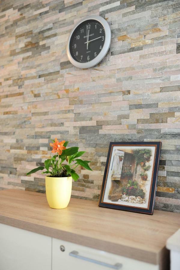 Apartment Milic